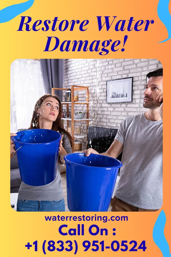water restoration Premier Flood Cleanup Professionals Ocean Springs