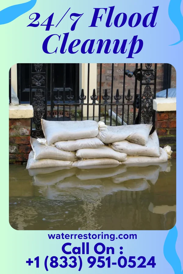 24/7 Flood Cleanup in Ocean Springs, MS