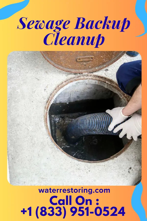 Sewage Backup Cleanup in Ocean Springs, MS